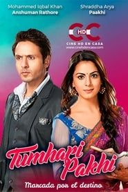 Tumhari Pakhi series tv