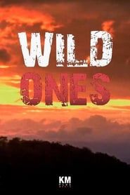 Wild Ones series tv