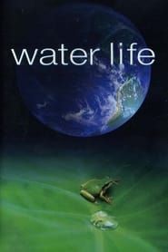 Image Water Life