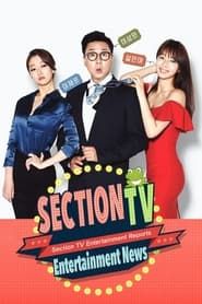 Section TV series tv