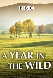 A Year in the Wild series tv
