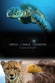 Turtle, Eagle, Cheetah: A Slow Odyssey series tv