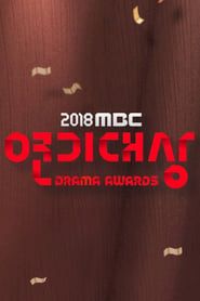 MBC Drama Awards series tv