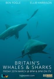 Britain's Whales and Sharks series tv