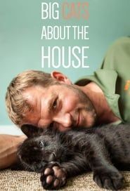 Big Cats About The House series tv