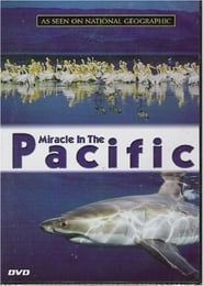 Miracle in the Pacific series tv