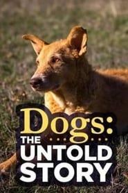 Dogs: The Untold Story 2017</b> saison 01 