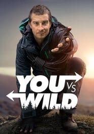 You vs. Wild series tv