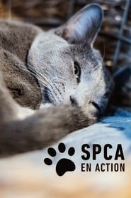SPCA en action series tv