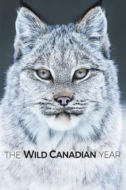 Une année dans le Canada sauvage-hd