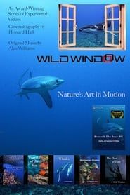 Wild Window series tv