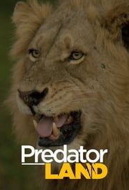 Predator Land series tv