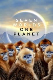 Une planète, sept mondes sauvages (2019)