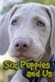 Six Puppies and Us 2015</b> saison 01 