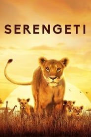 Serengeti 2023</b> saison 01 