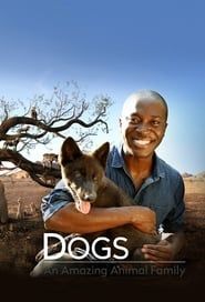 Dogs: An Amazing Animal Family series tv