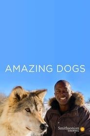 Amazing Dogs series tv