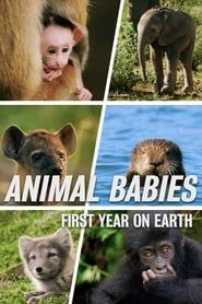 Animal Babies: First Year On Earth series tv