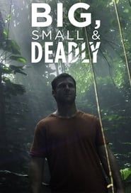 Big Small and Deadly series tv
