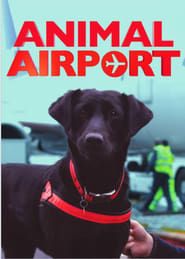 Animal Airport series tv