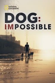 Dog: Impossible 2021</b> saison 01 