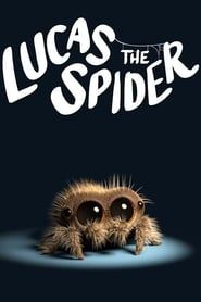 Image Lucas l'araignée