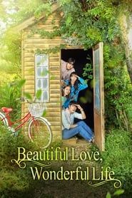 Beautiful Love, Wonderful Life series tv