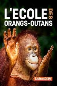 L'ecole des orangs-outans series tv