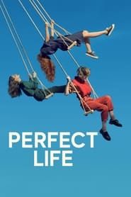 Perfect Life series tv