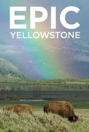 Image Yellowstone : Nature extrême