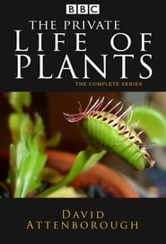 The Private Life of Plants series tv