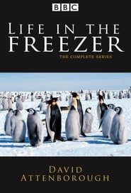 Life in the Freezer</b> saison 01 