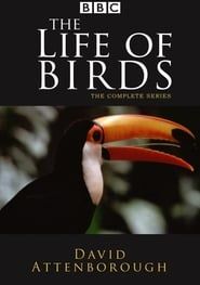 The Life of Birds series tv