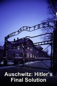 Image Auschwitz: Hitler's Final Solution