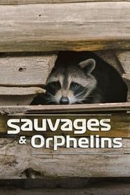 Sauvages et orphelins saison 01 episode 05  streaming
