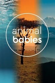 Animal Babies series tv