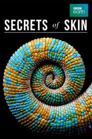Secrets of Skin series tv
