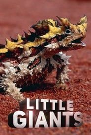 Little Giants</b> saison 01 