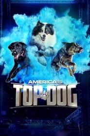 America's Top Dog series tv