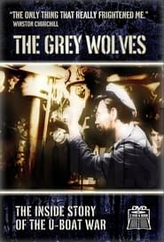 The Grey Wolves: Echoes from WWII series tv