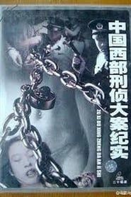 中国西部刑侦大案纪实 (2001)