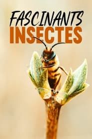 Fascinants insectes series tv