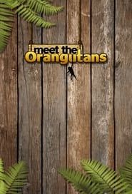 Meet the Orangutans series tv