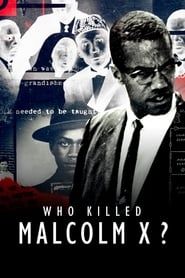 Who Killed Malcolm X? series tv