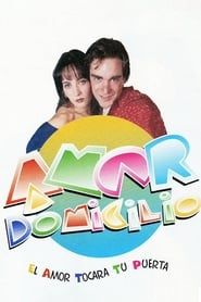 Amor a domicilio (1995)