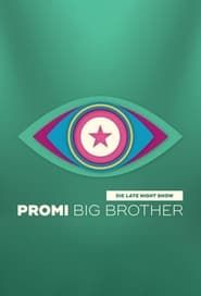 Image Big Brother - Die Late Night Show