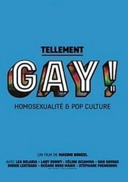 Tellement gay ! Homosexualité & pop culture 2015</b> saison 01 