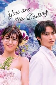 You Are My Destiny series tv