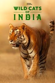 Wild Cats of India series tv