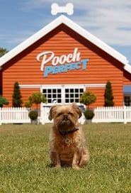 Pooch Perfect series tv